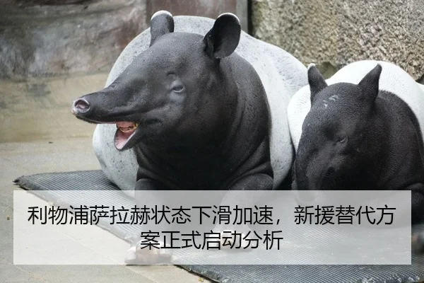 li-wu-pu-sa-la-he-zhuang-tai-xia-hua-jia-su-xin-yuan-ti-dai-fang-an-zheng-shi-qi-dong-fen-xi-2-524.jpg